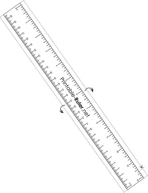 12″ | 30cm ruler (transparent)